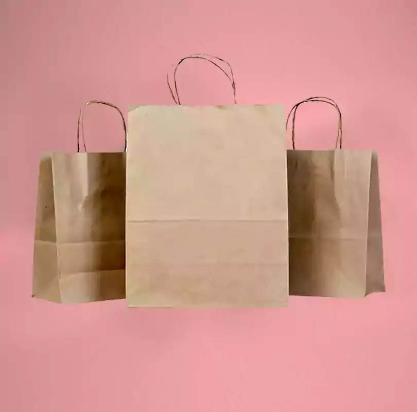 kraft bags printing